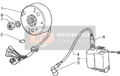 Flywheel Magnets-H.t. Coil