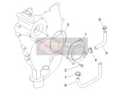 B0192155, PUMP-CYLINDER Slang, Piaggio, 2