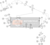 55641023044, Injector Right Cpl., KTM, 0