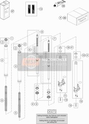 Front Fork Disassembled