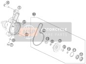 J760122455, Shaft Sealing Ring 12X24X5,5, KTM, 1