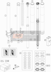 Front Fork Disassembled