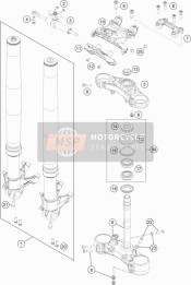 Forcella anteriore, Triplo morsetto