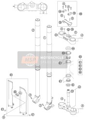 Forcella anteriore, Triplo morsetto