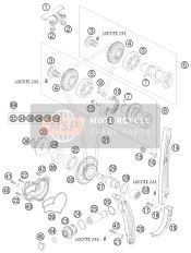 77036011300, Ingranaggio Albero Camme, KTM, 0