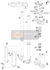 Forcella anteriore, Triplo morsetto