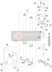 Front Fork, Triple Clamp