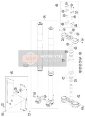 Forcella anteriore, Triplo morsetto