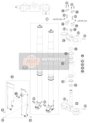 Forcella anteriore, Triplo morsetto