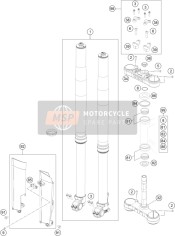 Forcella anteriore, Triplo morsetto