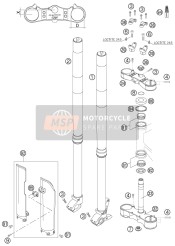 Forcella anteriore, Triplo morsetto