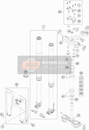 Forcella anteriore, Triplo morsetto