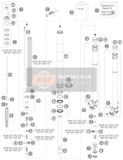 Front Fork Disassembled