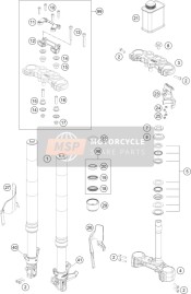 Forcella anteriore, Triplo morsetto