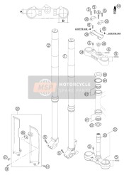 Forcella anteriore, Triplo morsetto