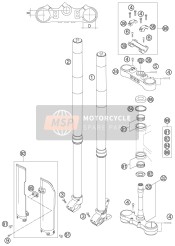 Forcella anteriore, Triplo morsetto