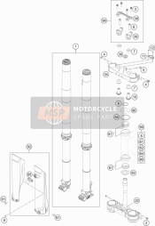 Forcella anteriore, Triplo morsetto