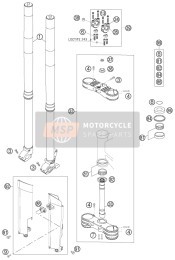 Forcella anteriore, Triplo morsetto