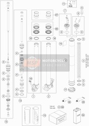 Front Fork Disassembled