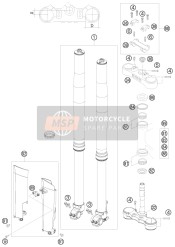 Forcella anteriore, Triplo morsetto