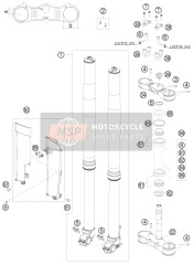 Forcella anteriore, Triplo morsetto