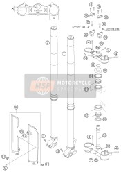 Forcella anteriore, Triplo morsetto