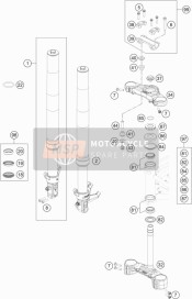 Forcella anteriore, Triplo morsetto