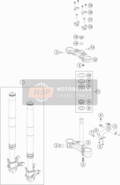 Forcella anteriore, Triplo morsetto