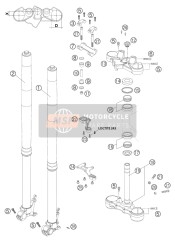 Forcella anteriore, Triplo morsetto