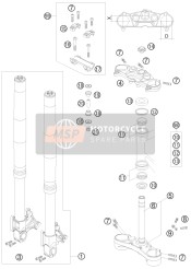 Forcella anteriore, Triplo morsetto