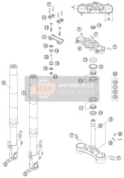 Forcella anteriore, Triplo morsetto