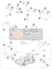 Throttle Body