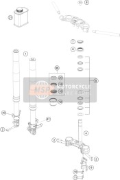 Forcella anteriore, Triplo morsetto