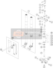 Forcella anteriore, Triplo morsetto