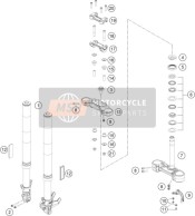 Forcella anteriore, Triplo morsetto