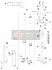 Forcella anteriore, Triplo morsetto