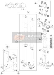 Forcella anteriore, Triplo morsetto