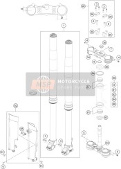 Forcella anteriore, Triplo morsetto