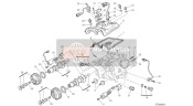 14825031E, Arbre Distribution Aspiration Verticale, Ducati, 0