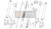 34520202AB, Fork Leg Assy, Left, Ducati, 0