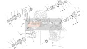 Cylinder Head : Timing System