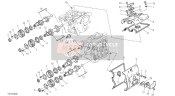 Cylinder Head : Timing System