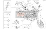 5101B851E, Cableado Principal, Ducati, 0