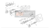 Cylinder Head : Timing System