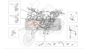 51016691C, Elektrische Verkabelung, Ducati, 0