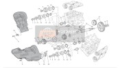 24511091A, Tapa Correa Distribuction, Ducati, 0