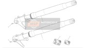 34420172B, Fork Leg Assy, Left, Ducati, 0