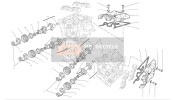 Cylinder Head : Timing System