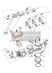 Gaskleppen, Injectoren en Brandstofrail 207555 gto