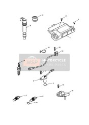 T1292015, Air Pressure Sensor, Triumph, 1